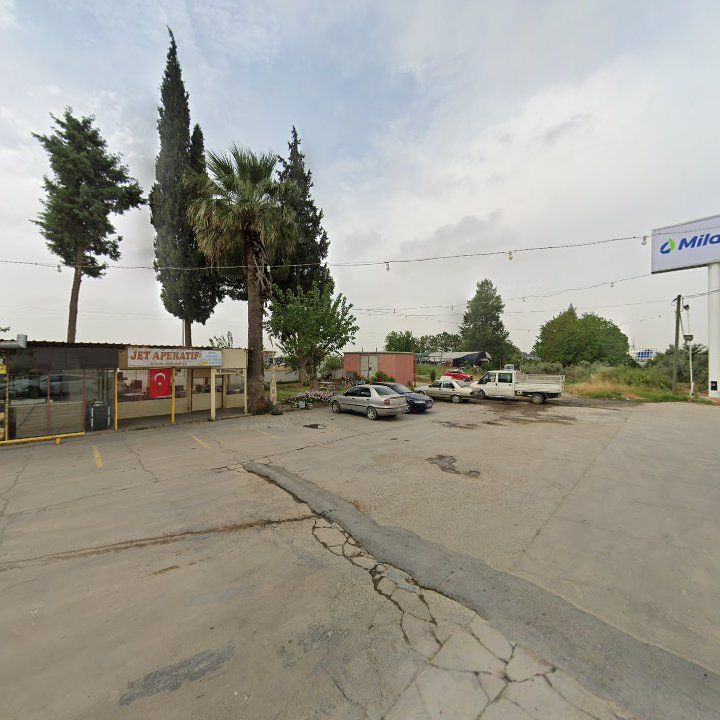 Fotoğraf 8