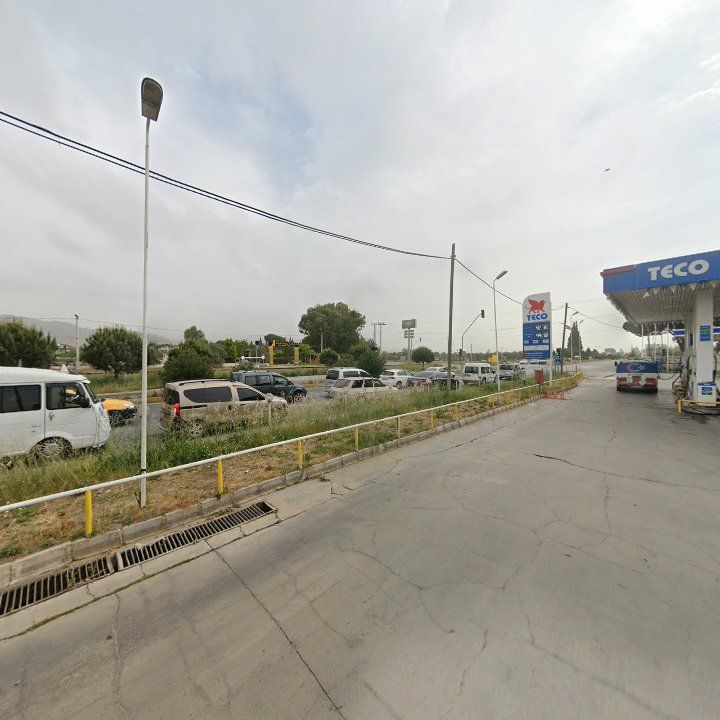 Fotoğraf 10