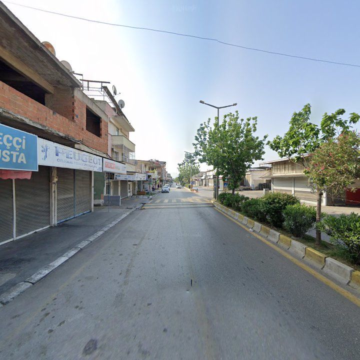 Fotoğraf 4
