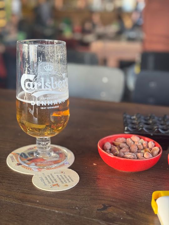 Molly malone's aydın