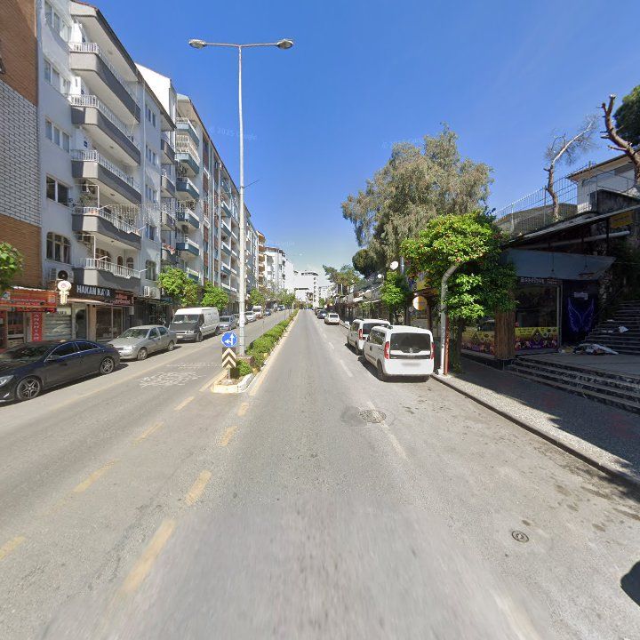 Fotoğraf 11