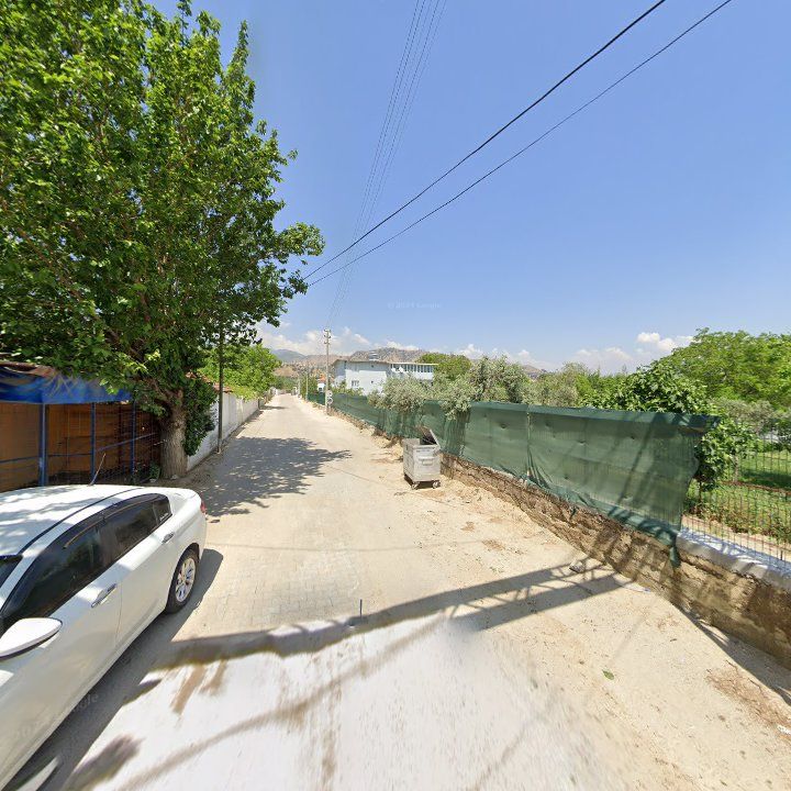 Fotoğraf 8