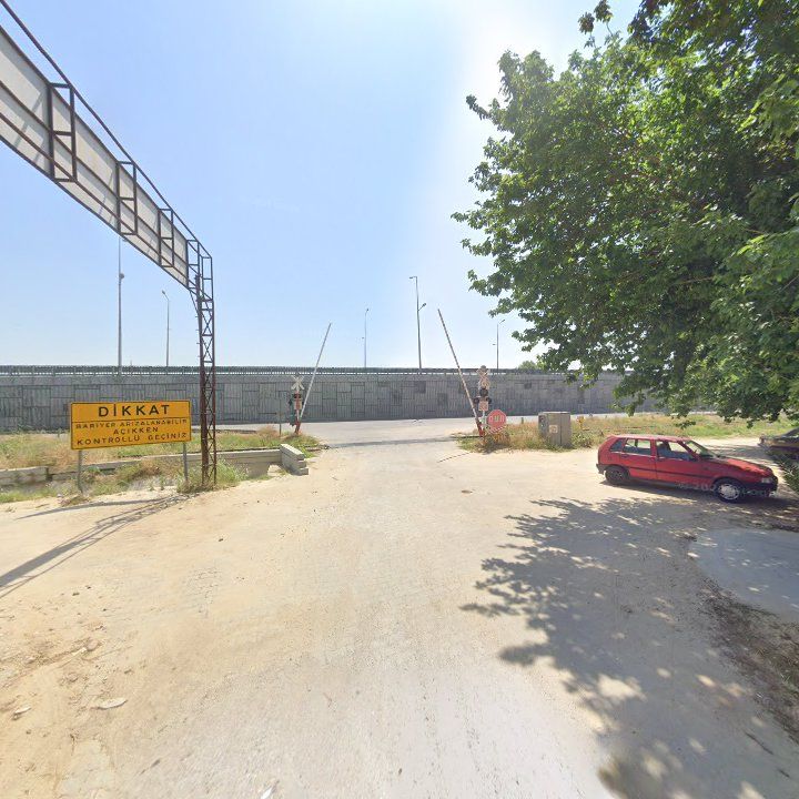 Fotoğraf 10