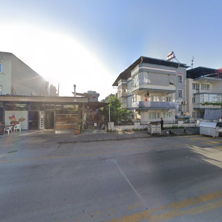 Fotoğraf 7