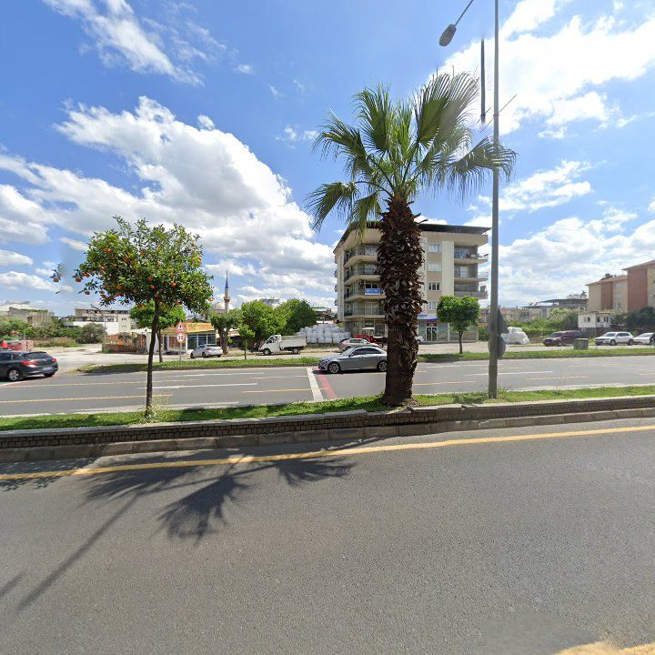 Fotoğraf 8
