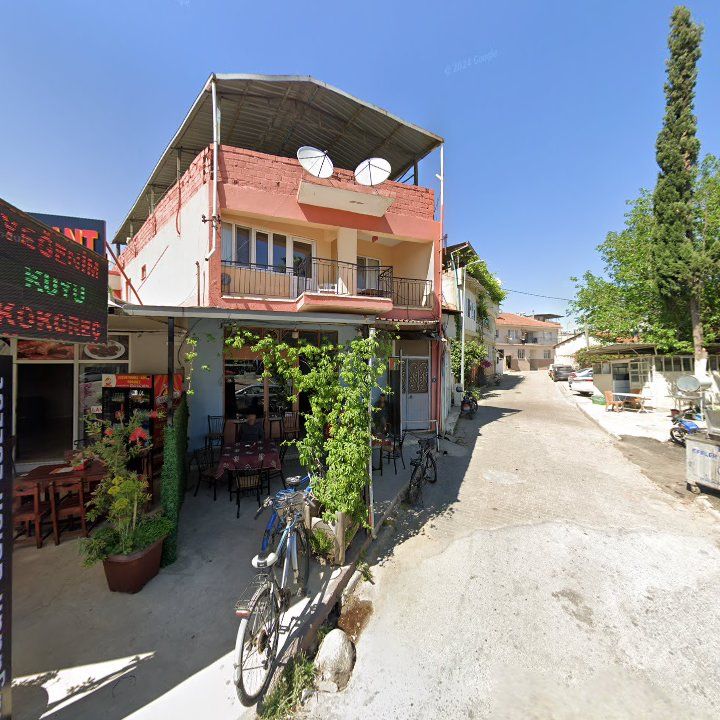 Fotoğraf 8