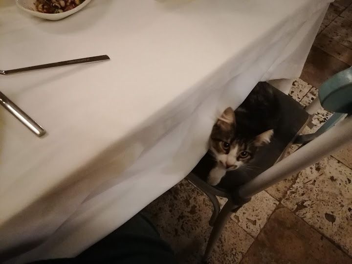 Yorum fotoğrafı 2