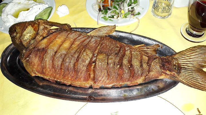 Fotoğraf 19