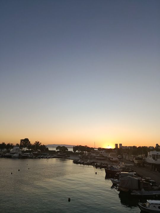 Fotoğraf 31