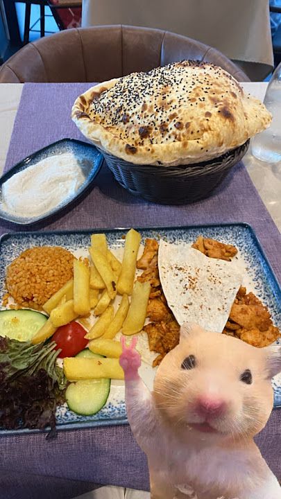 Fotoğraf 25