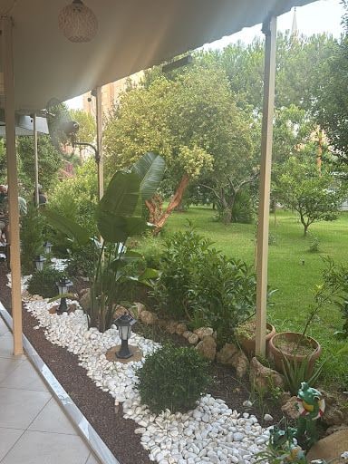 Fotoğraf 15