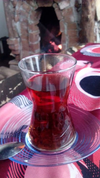 Fotoğraf 43