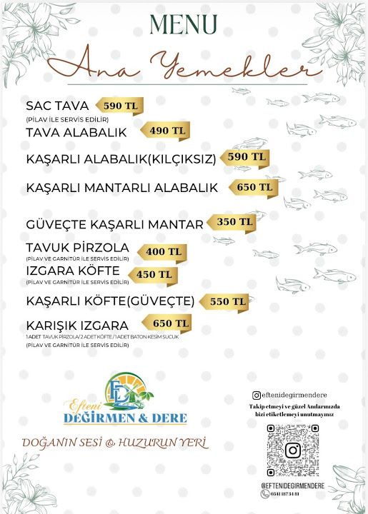 Fotoğraf 39