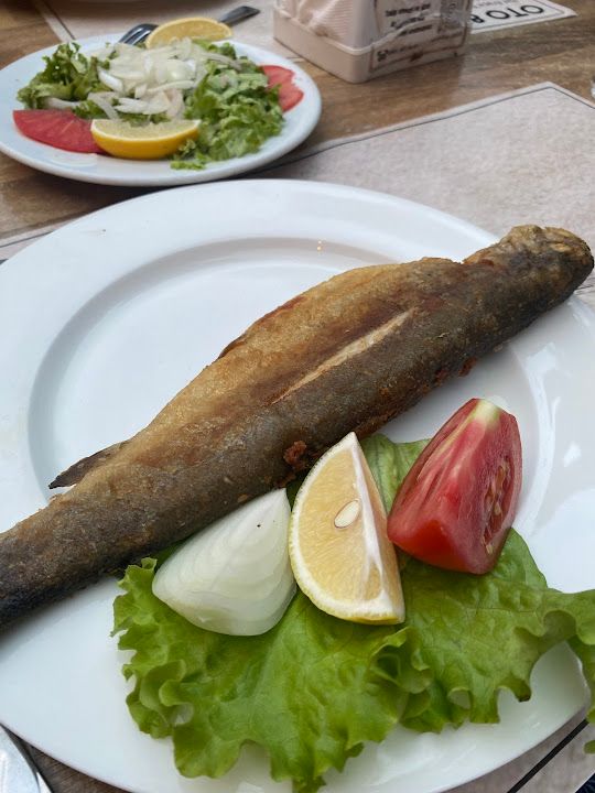 Fotoğraf 43