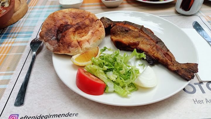 Fotoğraf 41