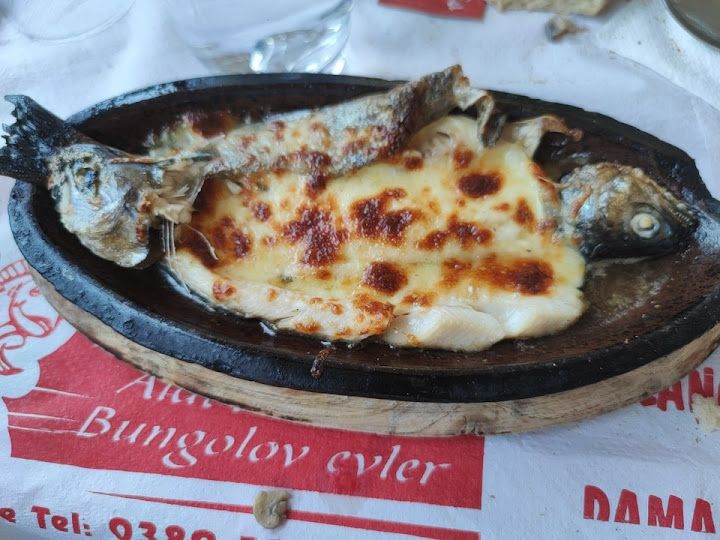 Fotoğraf 38