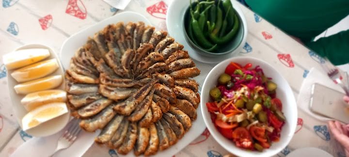 Fotoğraf 16