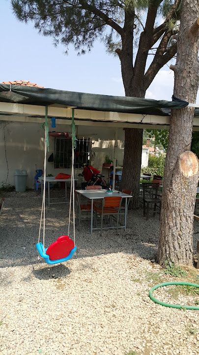 Fotoğraf 16