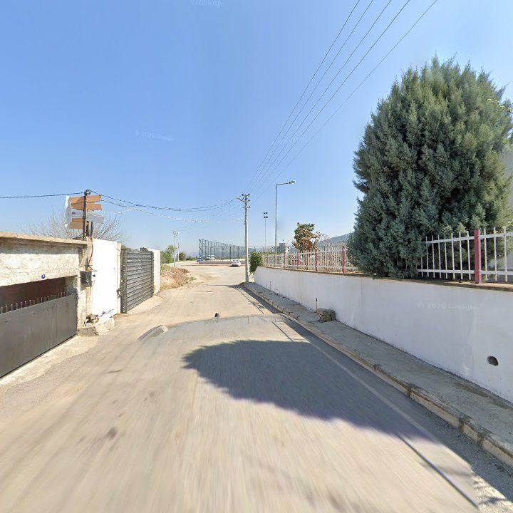 Fotoğraf 8