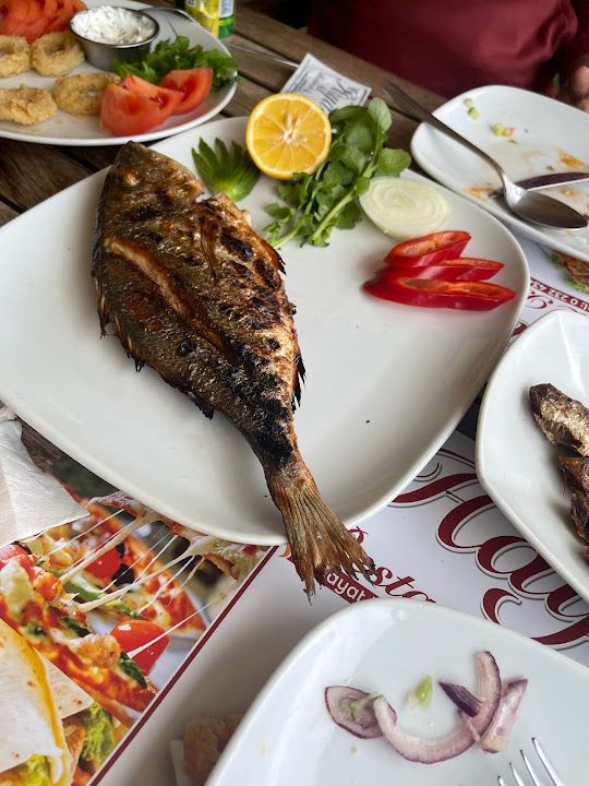 Fotoğraf 41