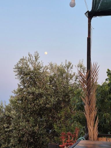 Yorum fotoğrafı 5