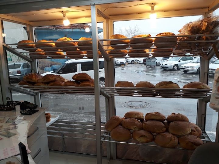 Fotoğraf 16