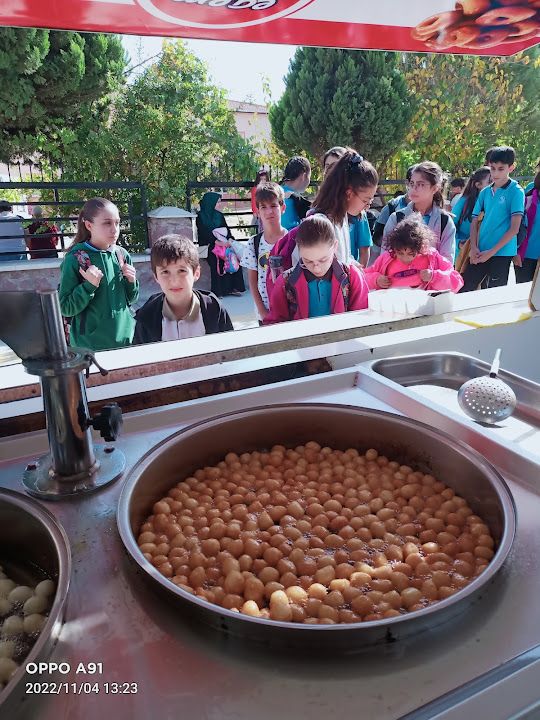 Fotoğraf 16