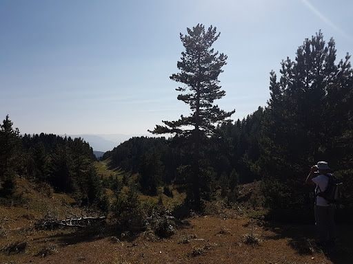 Egemen ÇAKIR yorum fotoğrafı