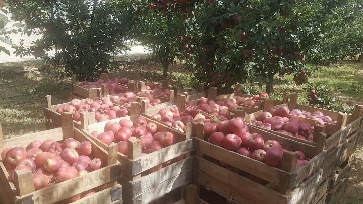 Kızılçubuk Ekmek Fırını