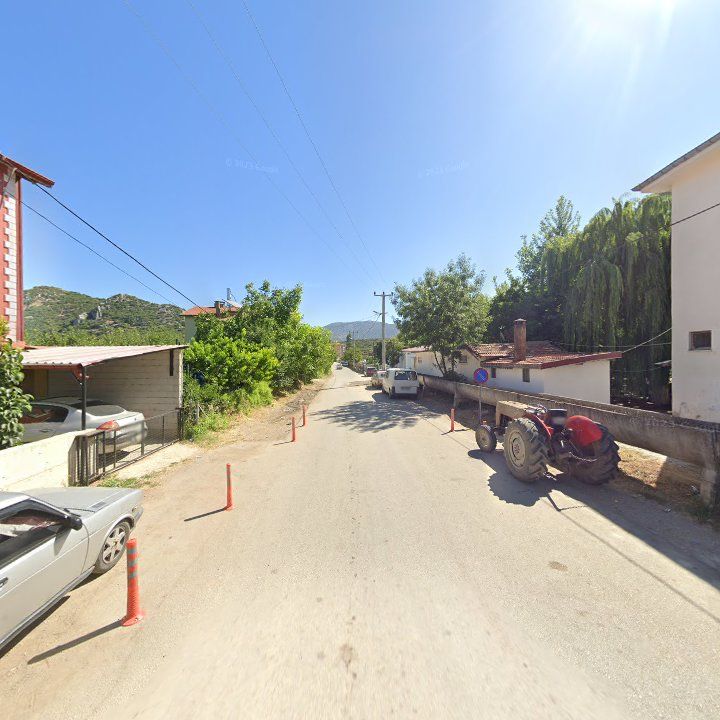 Fotoğraf 5