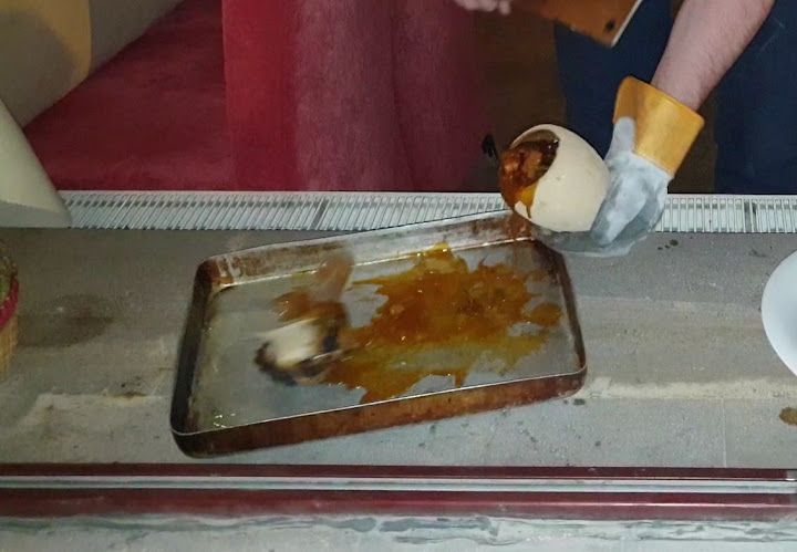 Fotoğraf 15