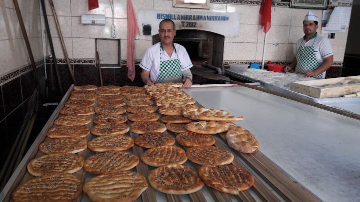 Fotoğraf 15