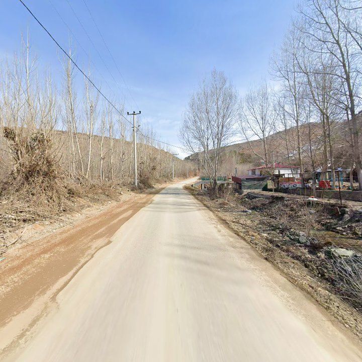 Fotoğraf 8