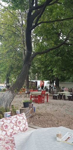 Fotoğraf 12