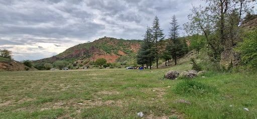 Yorum fotoğrafı 6