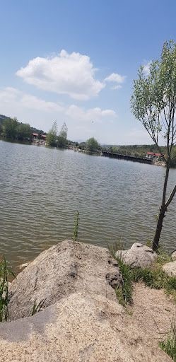 Yorum fotoğrafı 7