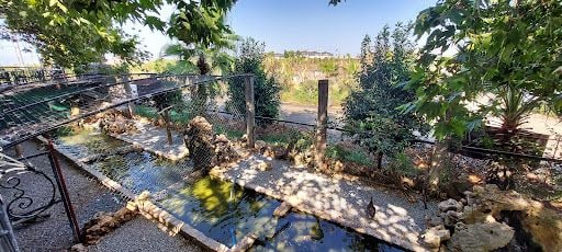 Yorum fotoğrafı 8