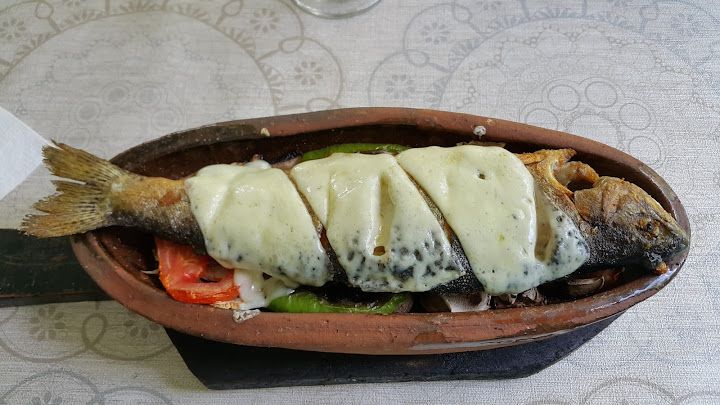 Fotoğraf 24
