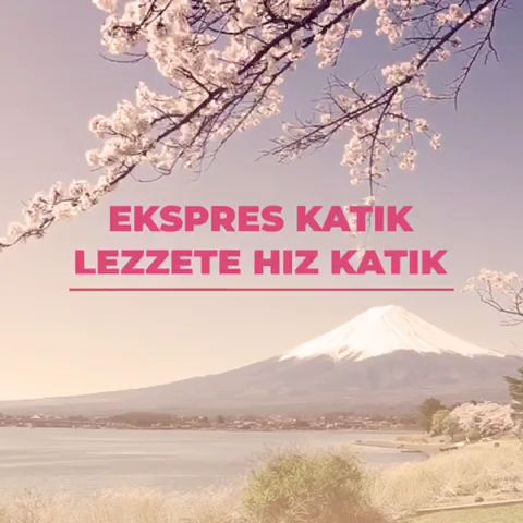 Fotoğraf 13