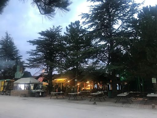 Yorum fotoğrafı 4