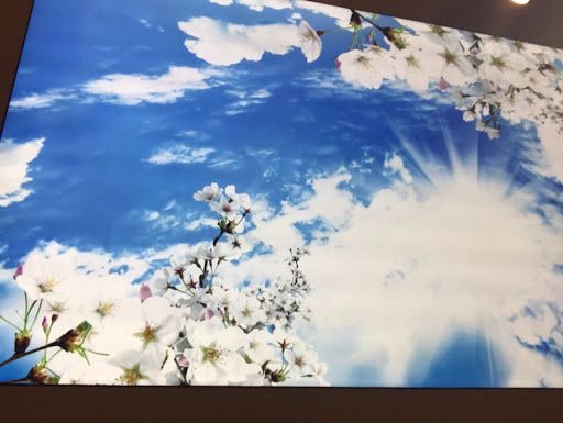 Yorum fotoğrafı 7