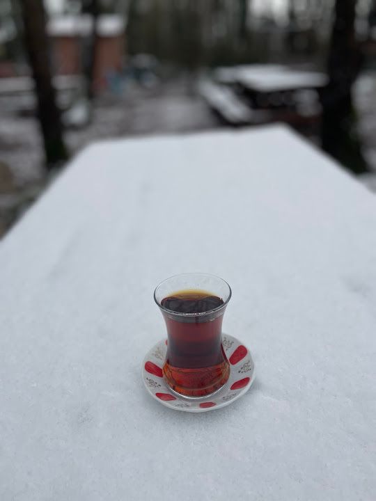 Fotoğraf 41