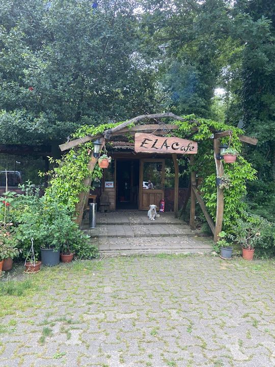 Fotoğraf 52