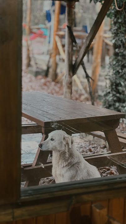 Fotoğraf 18