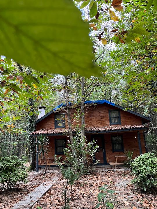 Fotoğraf 14