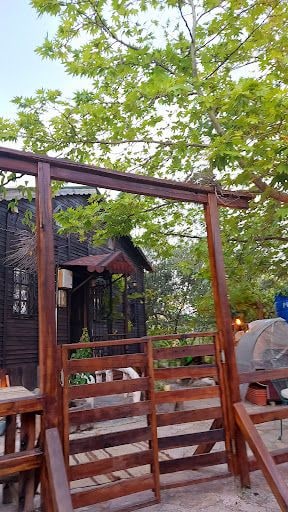 Fotoğraf 32