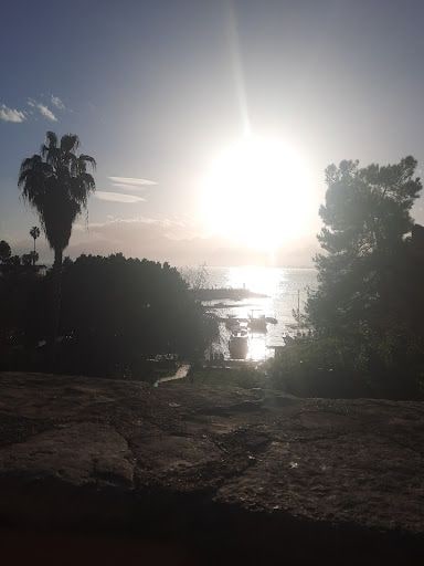 Fotoğraf 18