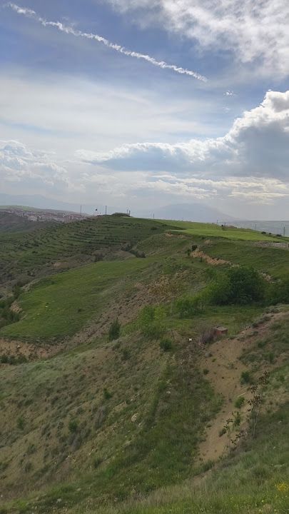 Fotoğraf 11