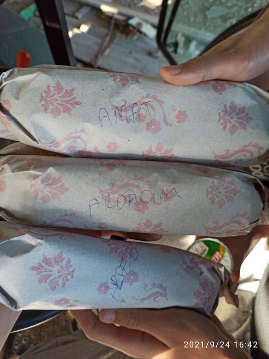Fotoğraf 20