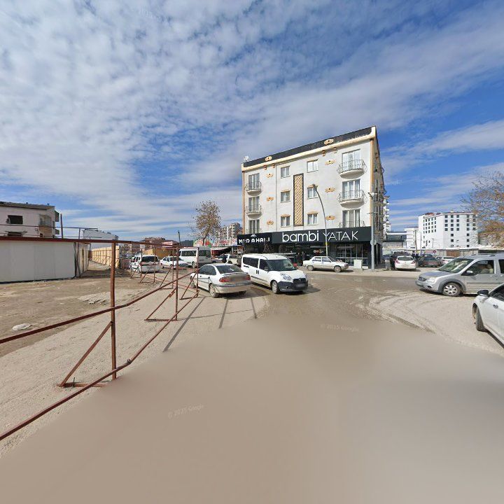 Fotoğraf 9